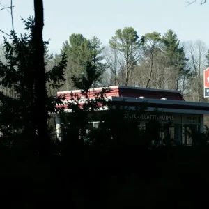 Wooded area near McDonald's in Nashville