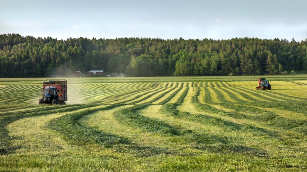 Farm tractor working a harvested field