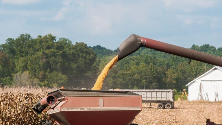 Tennessee Farmers Line Up for $212 Million in USDA Payments